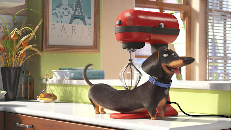 Pets, 3D, Animation, Kino, Pixar