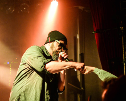 Samy deluxe, Hip-Hop, Rap