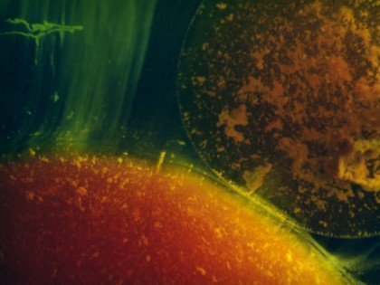 030, 030 Magazin, Berlin, Kunst, Ausstellung