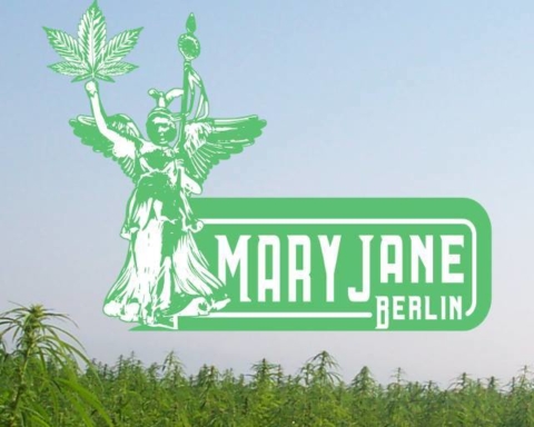 Mary Jane Berlin, Hanfmesse, Arena, Hanf, 030, Redaktion, Pflanze, Natur, Messe