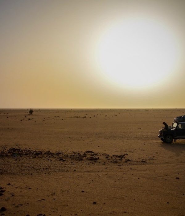 , Film, Reise, Abenteuer, Heiligabend, Wüste, Mauretanien