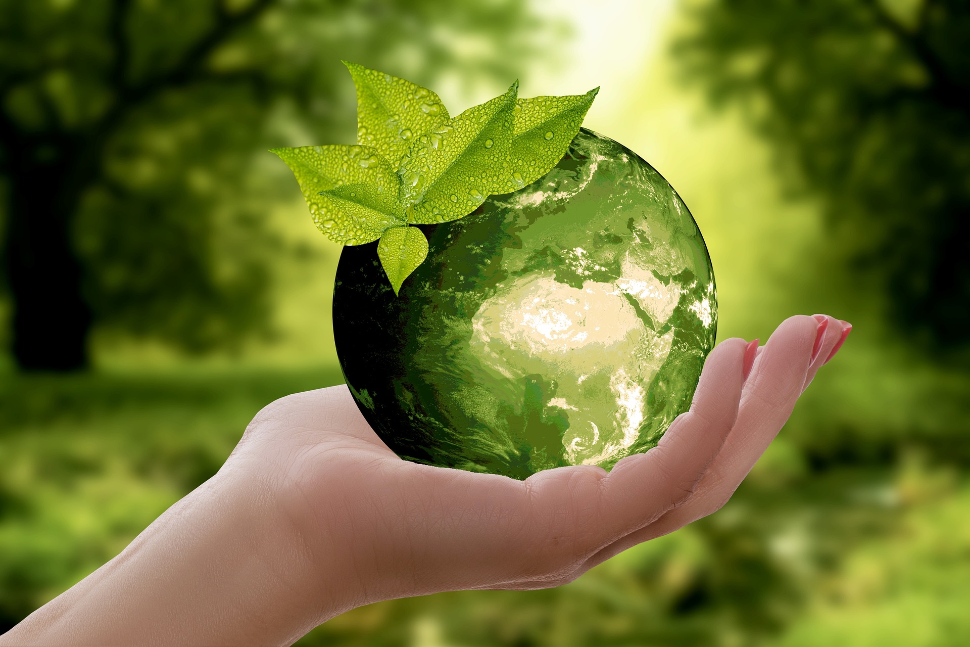 Nachhaltigkeit, Grüner Planet