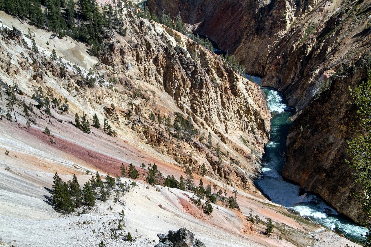 yellowstone national park