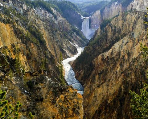 Yellowstone national park