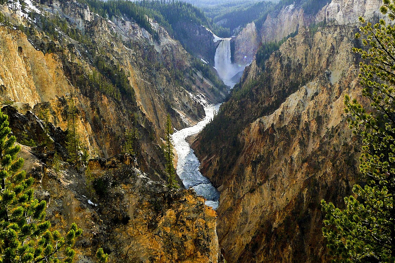 Yellowstone national park